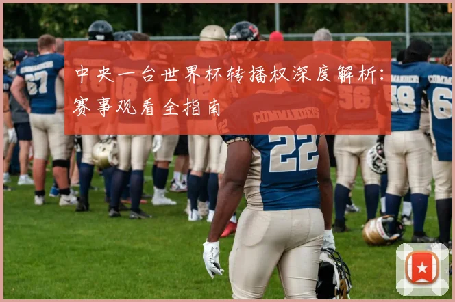 中央一台世界杯转播权深度解析：赛事观看全指南