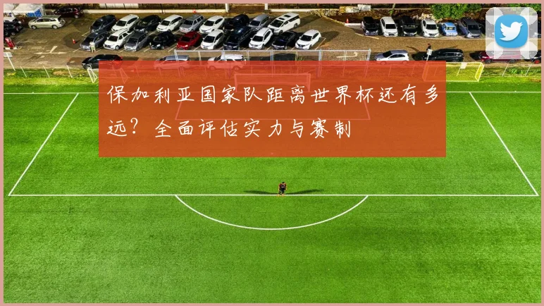 保加利亚国家队距离世界杯还有多远？全面评估实力与赛制