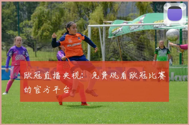 欧冠直播央视：免费观看欧冠比赛的官方平台