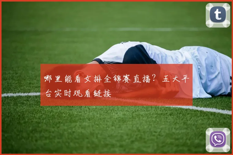 哪里能看女排全锦赛直播？五大平台实时观看链接