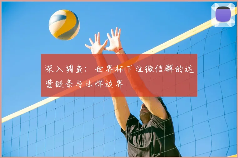 深入调查：世界杯下注微信群的运营链条与法律边界