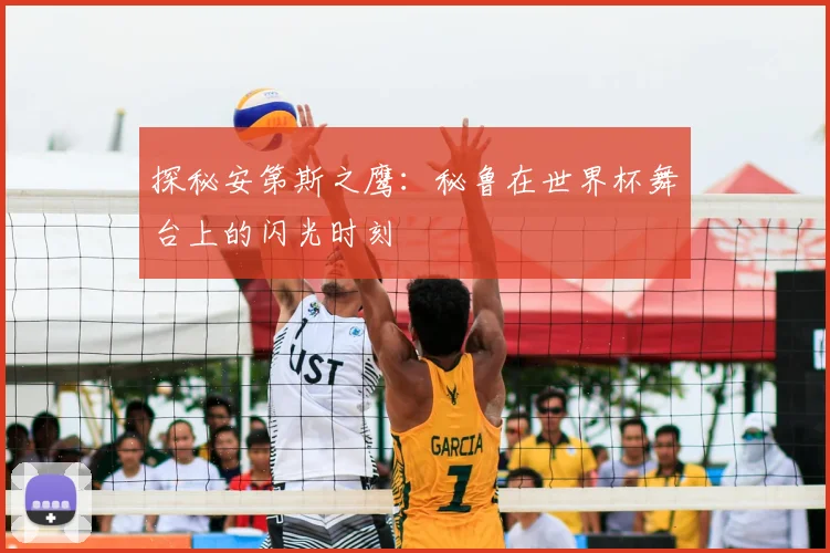 探秘安第斯之鹰：秘鲁在世界杯舞台上的闪光时刻