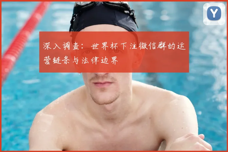 深入调查:世界杯下注微信群的运营链条与法律边界