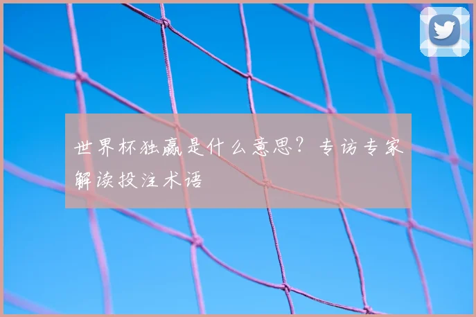 世界杯独赢是什么意思?专访专家解读投注术语