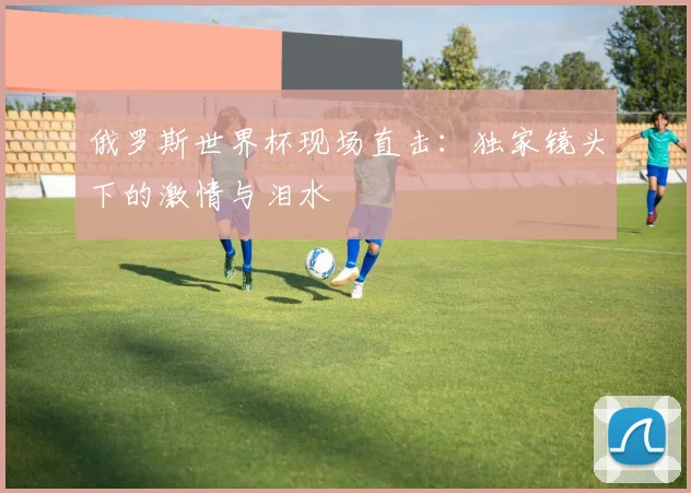 俄罗斯世界杯现场直击:独家镜头下的激情与泪水